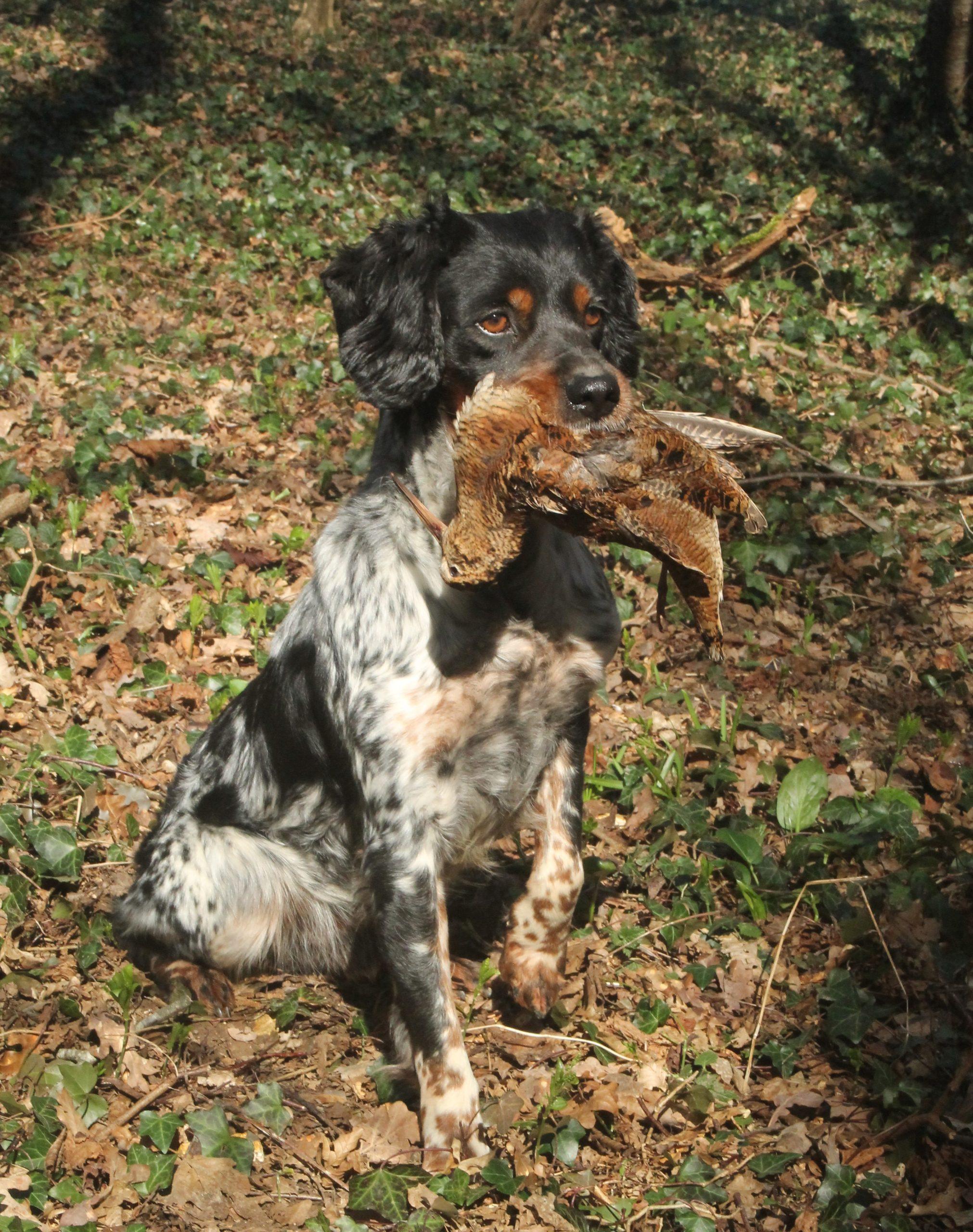 Jet du Grand Capricorne