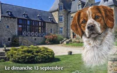 TAN 2026 Bretagne 22