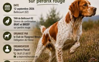 TAN 02 Bellicourt